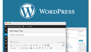 small business website design with wordpress