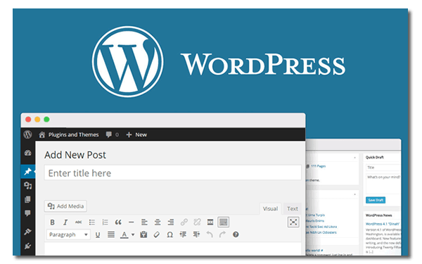 small business website design with wordpress
