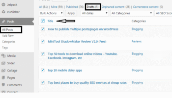 How to publish multiple posts/pages on WordPress