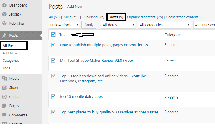 How to publish multiple posts/pages on WordPress