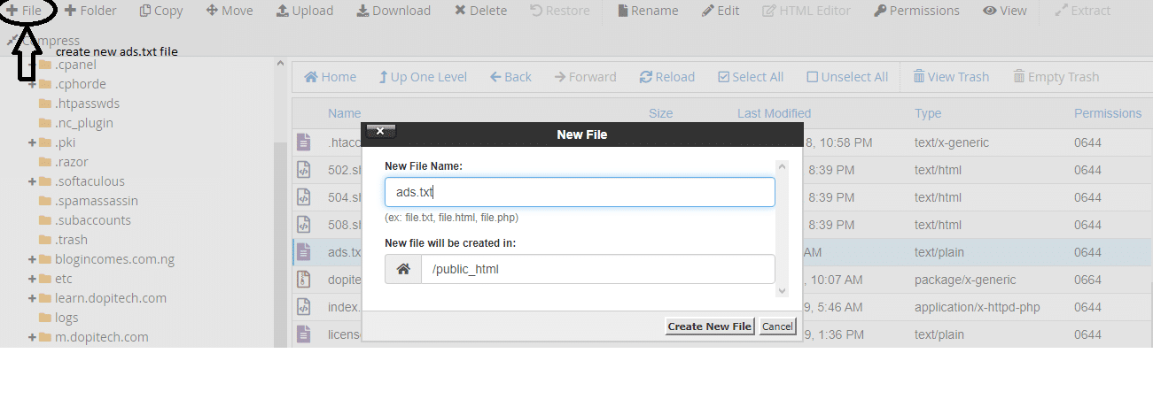 Read more about the article How to add “ads.txt” file on cPanel: pro guide