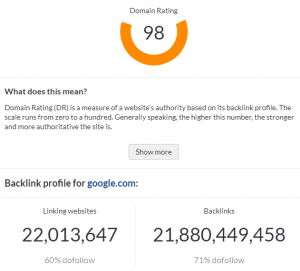 Read more about the article What is Domain Rating (DR): how does it help digital marketers?