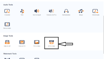 GIF to Video Converter