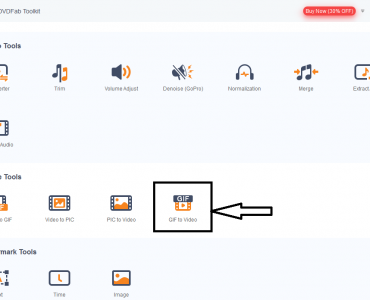 GIF to Video Converter