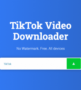 best TikTok video downloaders