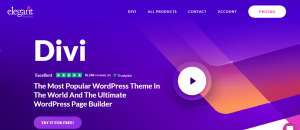 Read more about the article Top 12 Trending WordPress Themes