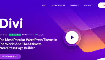 Best WordPress Themes