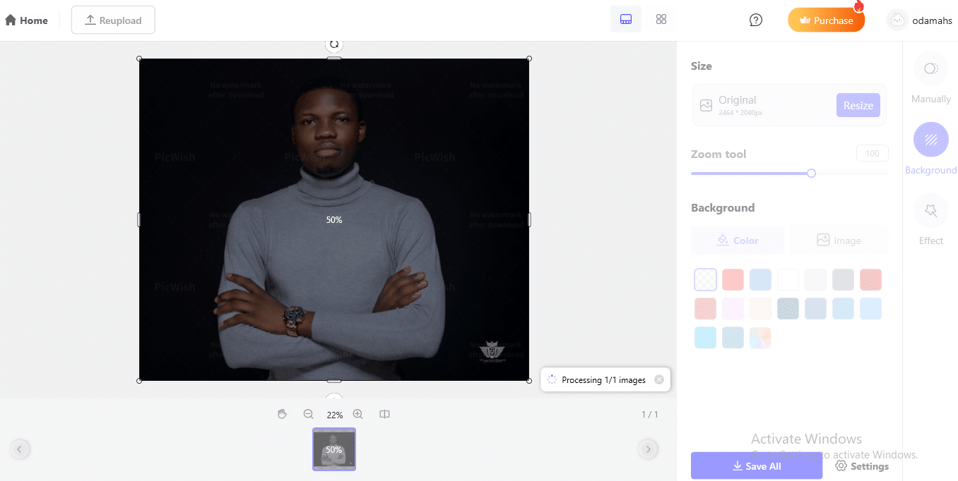 PicWish background remover review