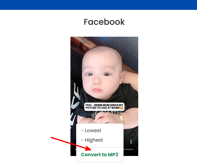 video downloader for FB